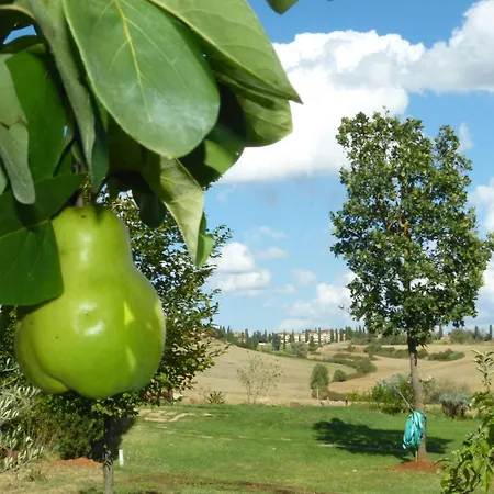 Casavacanze Casalta * Sovicille